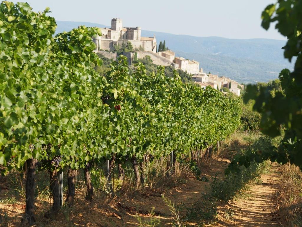 Le Mas De La Lause Le Barroux Exterior foto